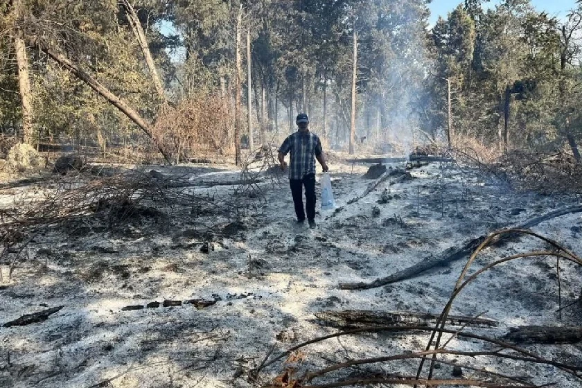 Mazandaran Authorities Achieve 80% Control Over Elit Forest Fire