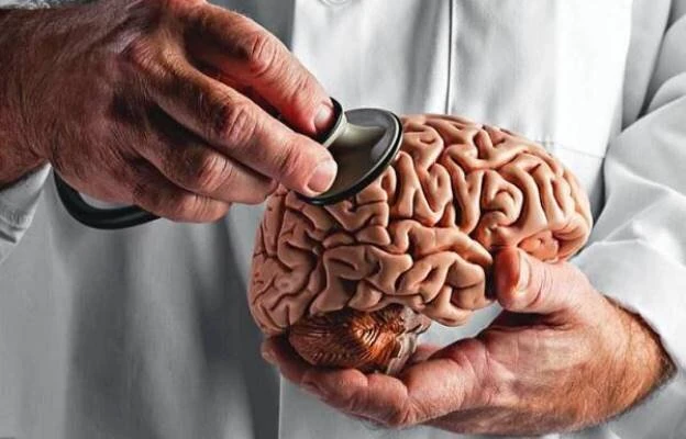 Fit Bodies, Younger Brains: New Study Links Muscle Mass to Cognitive Health